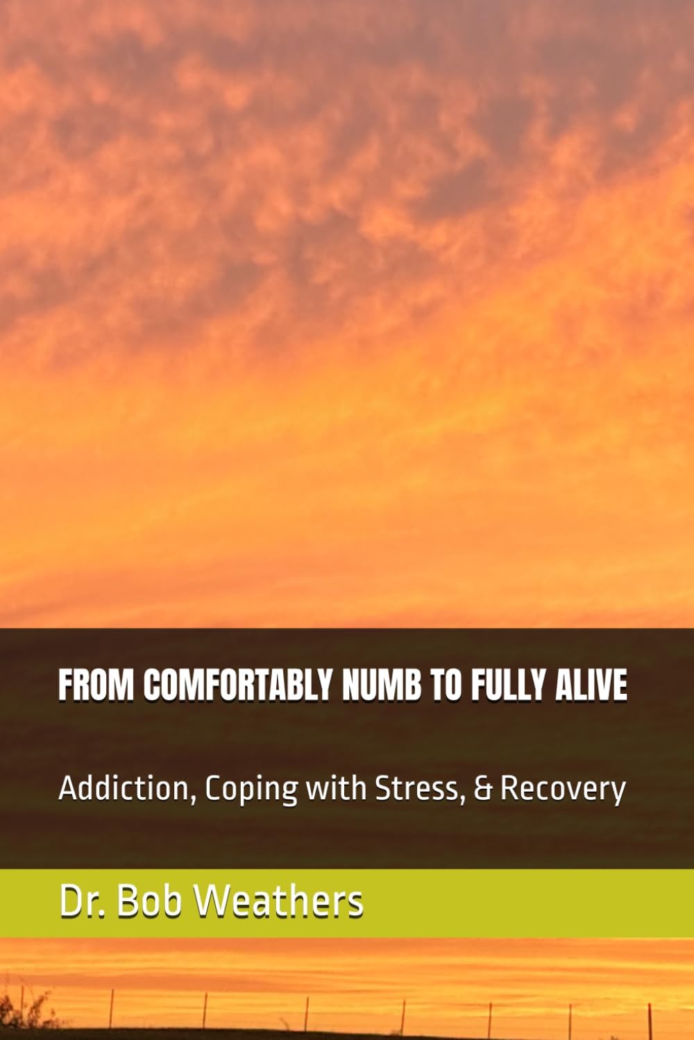 FROM COMFORTABLY NUMB TO FULLY ALIVE: Addiction, Coping with Stress, & Recovery